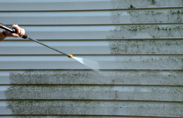 Professional Pressure Washing Services in Winfield, AL